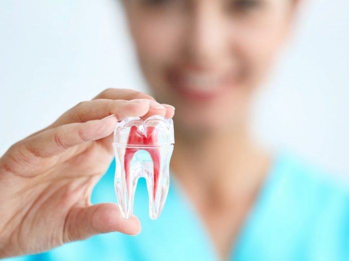 shutterstock_518696392